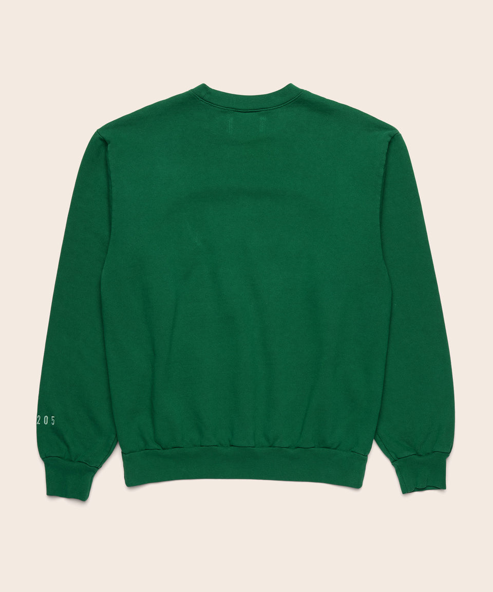 dallas green gear Dallas Crewneck – Rich Mom Gear
